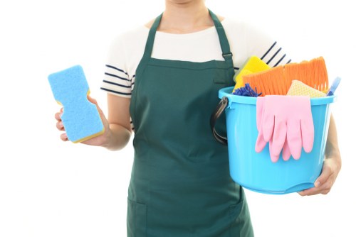 Professional upholstery cleaning in a Kentishtown living room