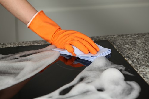 Person using an accessible carpet cleaning website in Kentishtown