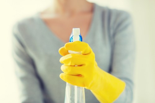 Professional cleaner in Kentishtown cleaning a bright living room