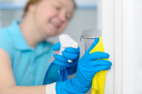 Deep cleaning tasks for a Kentishtown family home