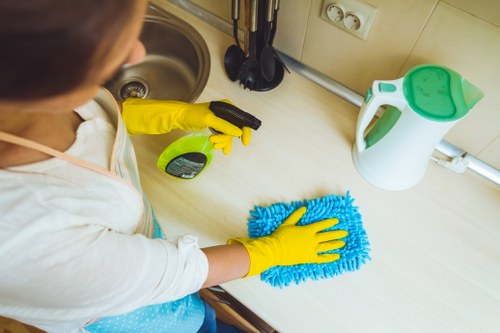 Professional carpet cleaner using safe cleaning procedures