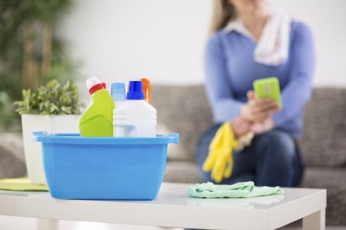 Preparation for a professional carpet clean