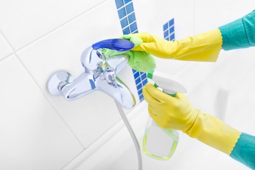 Regular home cleaning in Kentishtown apartment