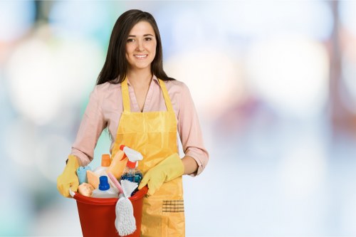 Kitchen and bathroom cleaning details in Kentishtown home