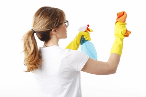 Kentishtown cleaner sanitising a modern kitchen surface