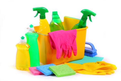 Eco-friendly cleaning company in Kentishtown delivering detailed results